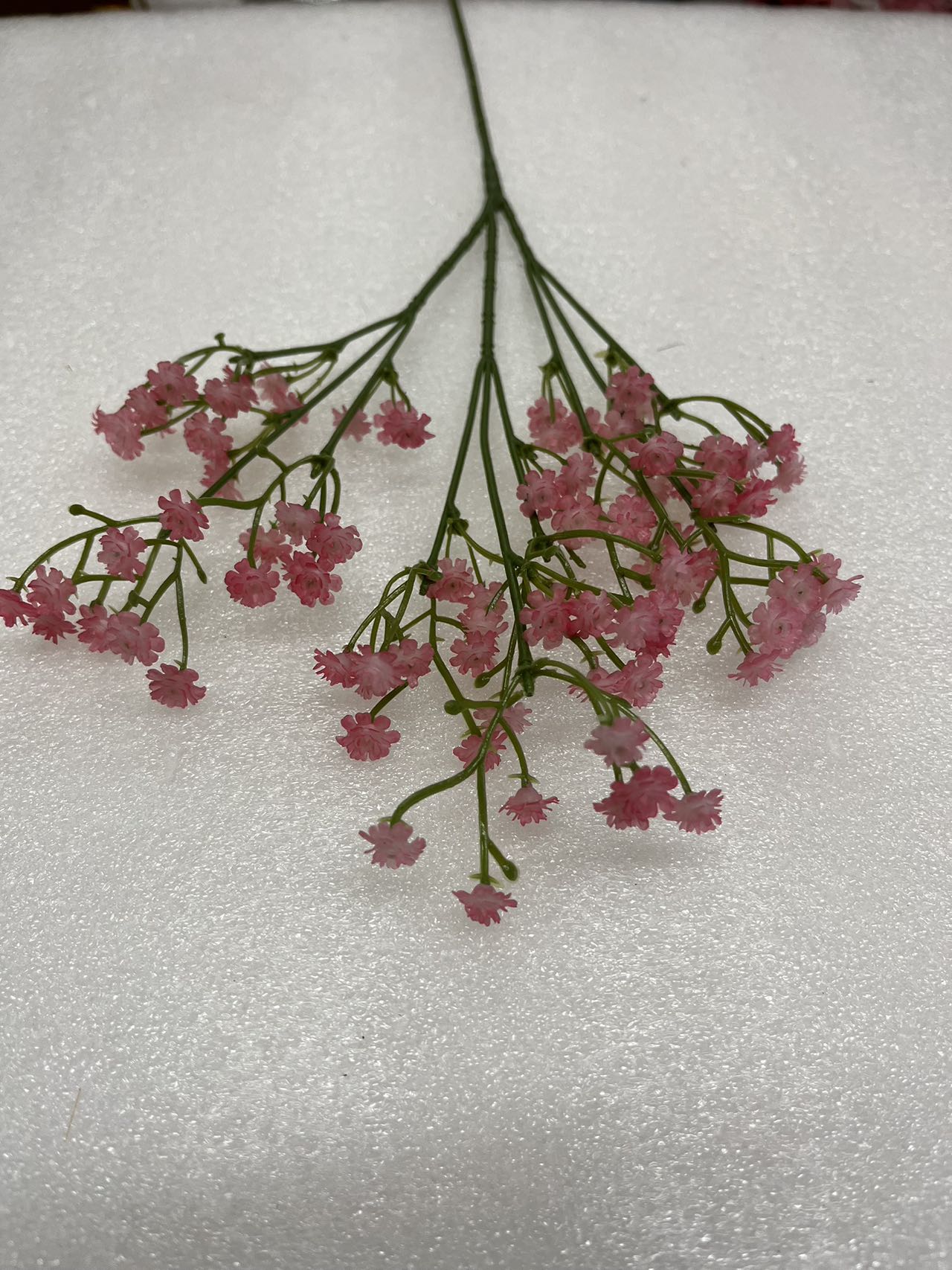 Long stem baby breathes (3pcs)