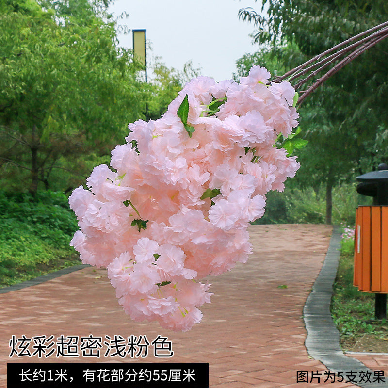 Cherry Blossom Branches