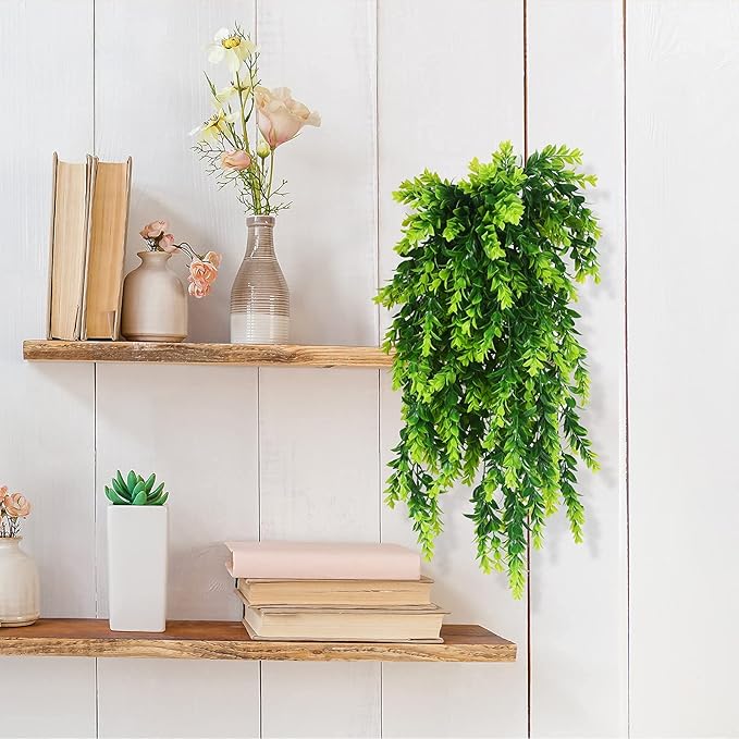 Pothos hanging ratton