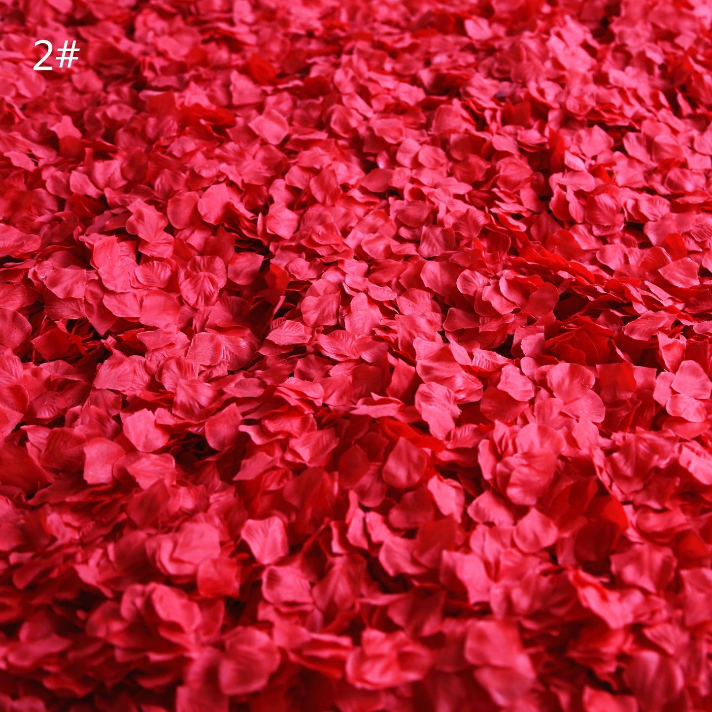 Petals（2bag）