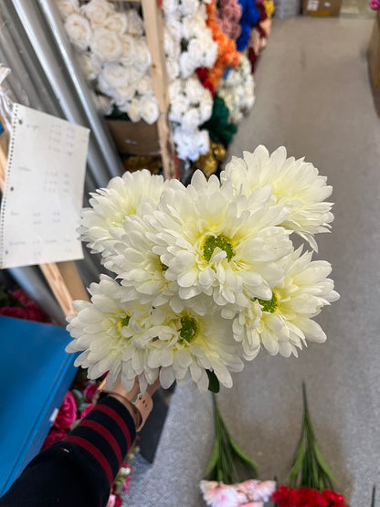 7 stems Daisy