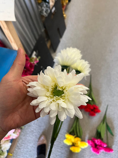 7 stems Daisy