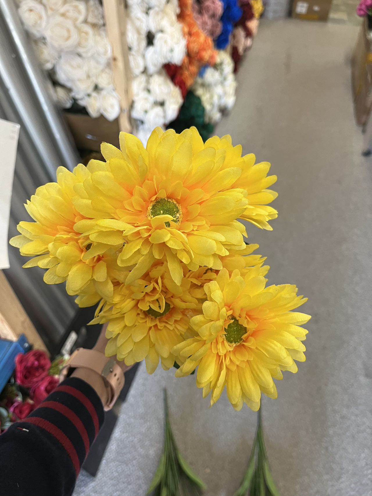 7 stems Daisy