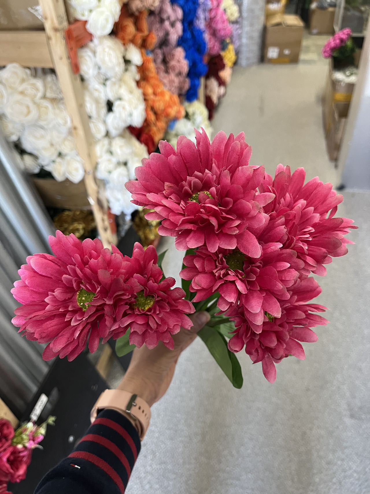 7 stems Daisy