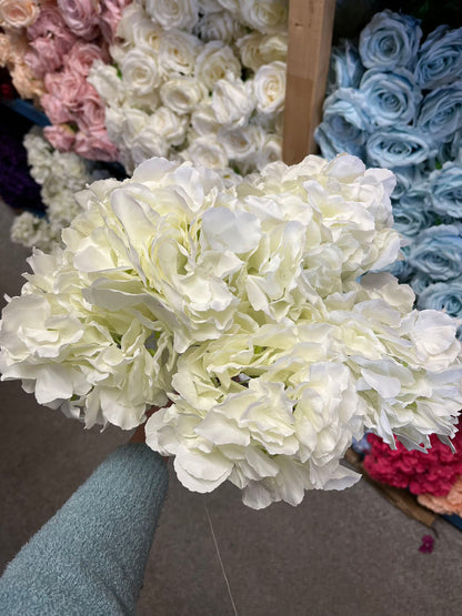 6 stems Big Head Hydrangea