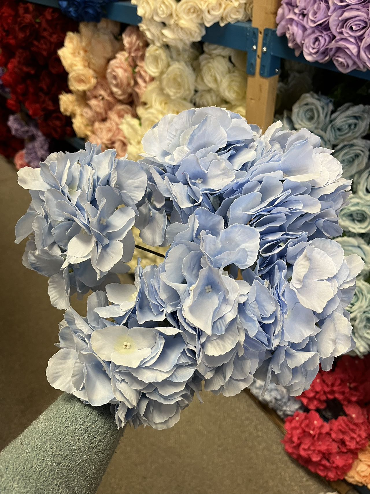 6 stems Big Head Hydrangea