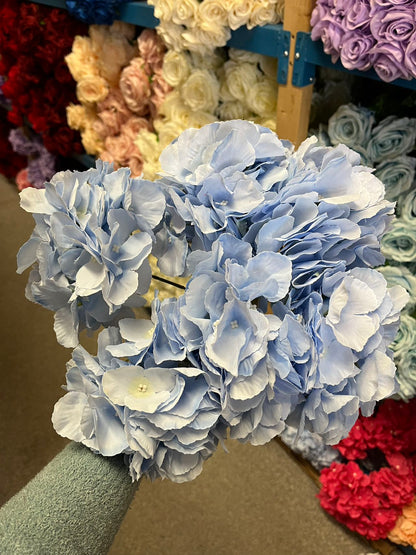 6 stems Big Head Hydrangea