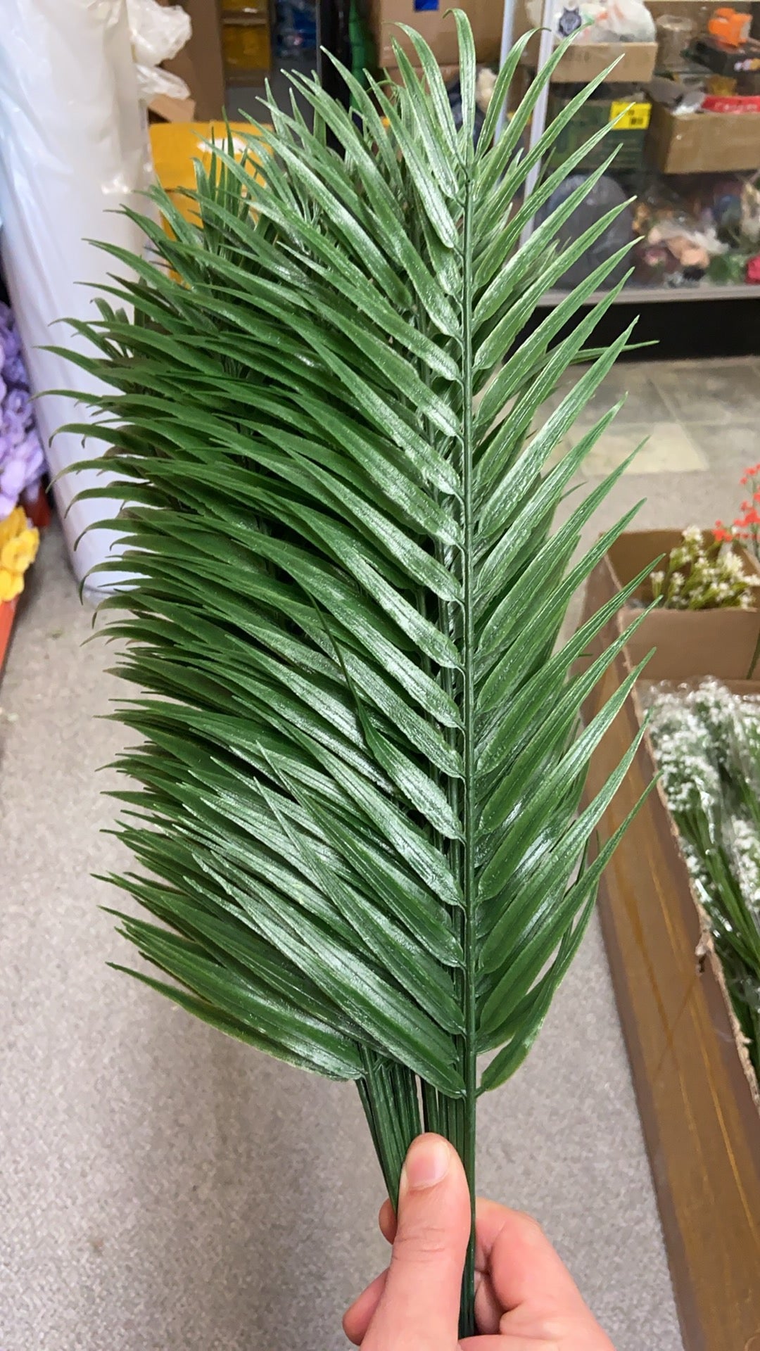 Green Palm