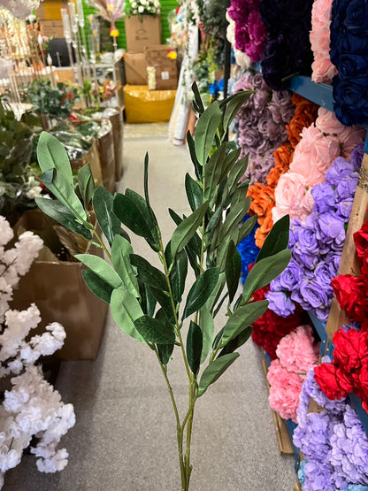 Rhododendron Leaves