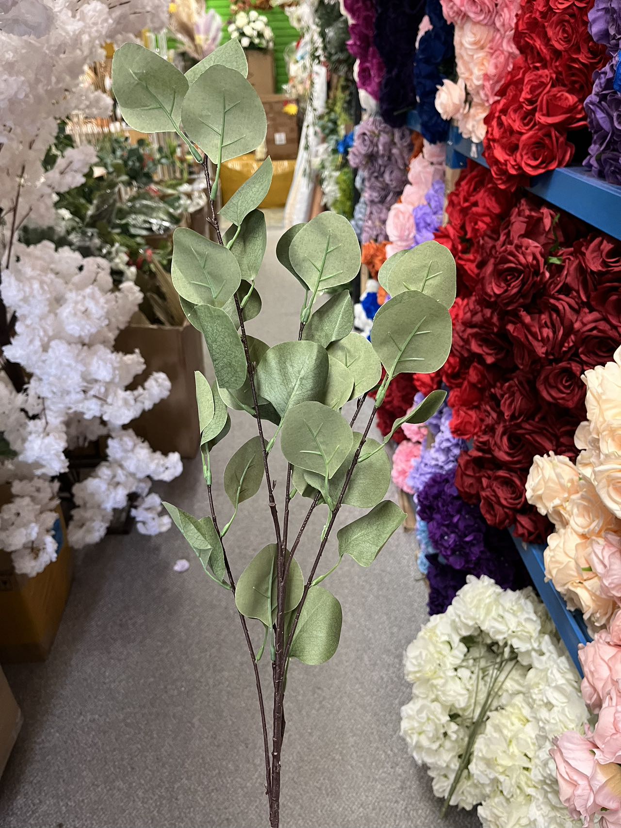 5 stems Eucalyptus leaves