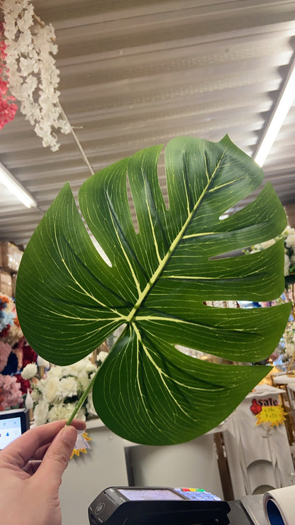 Turtle Leaf