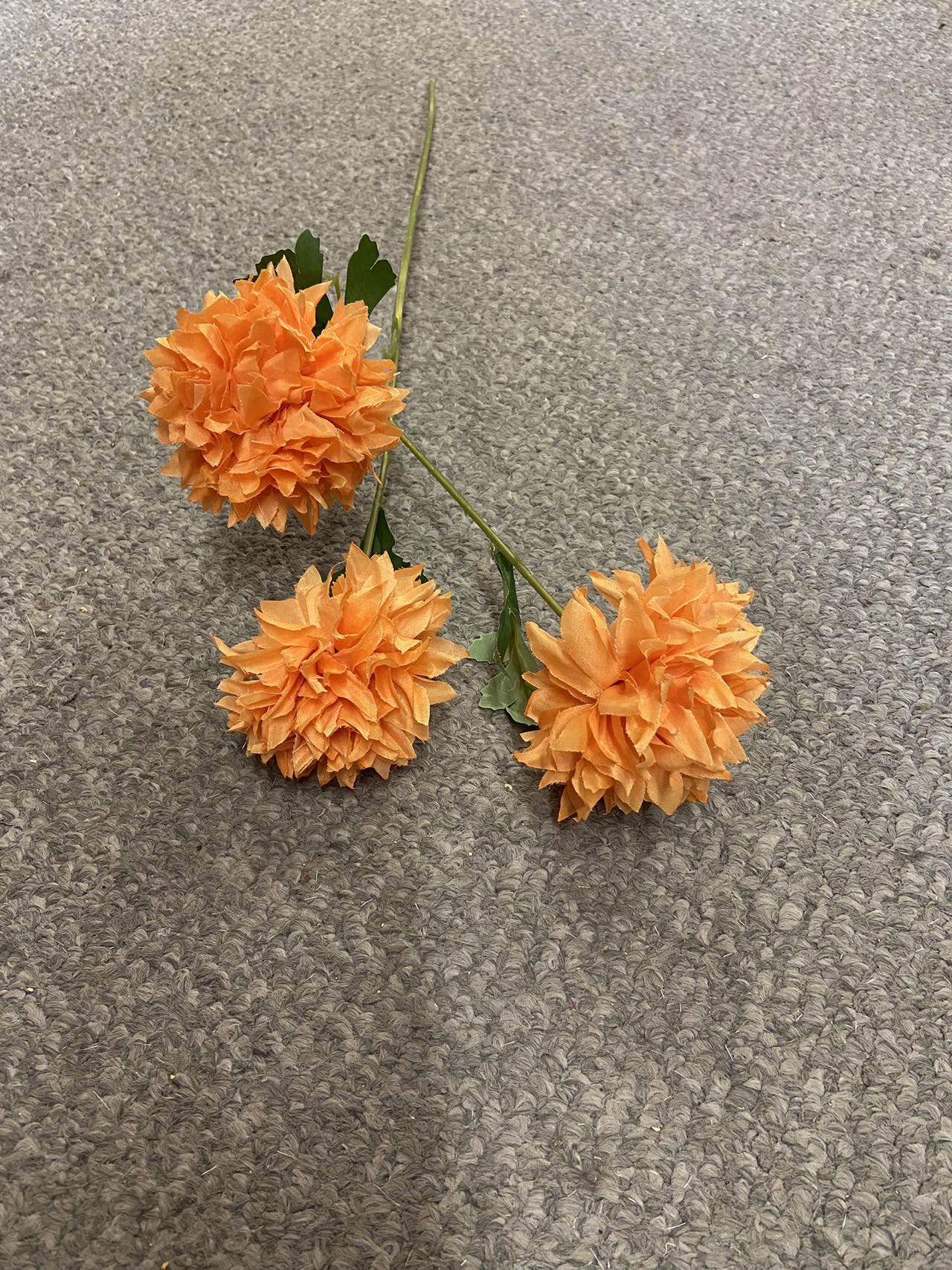 3 heads  pingpong chrysanthemum