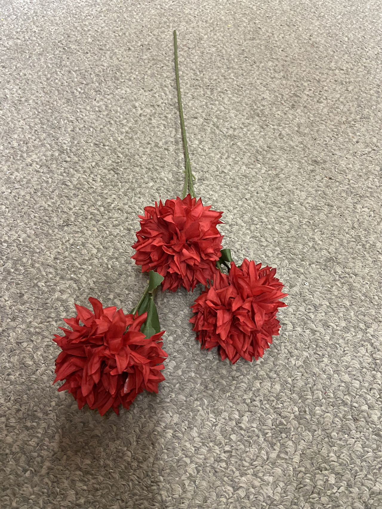 3 heads  pingpong chrysanthemum