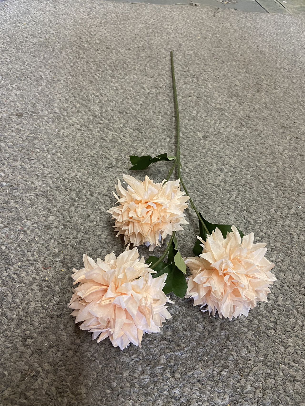 3 heads  pingpong chrysanthemum