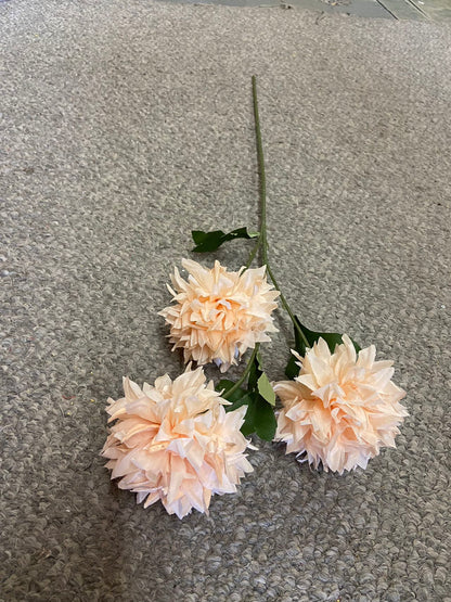 3 heads  pingpong chrysanthemum