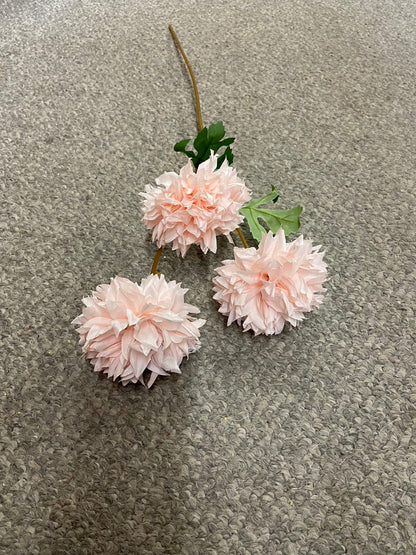 3 heads  pingpong chrysanthemum