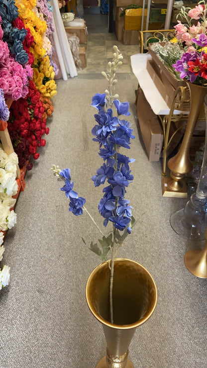 Delphinium