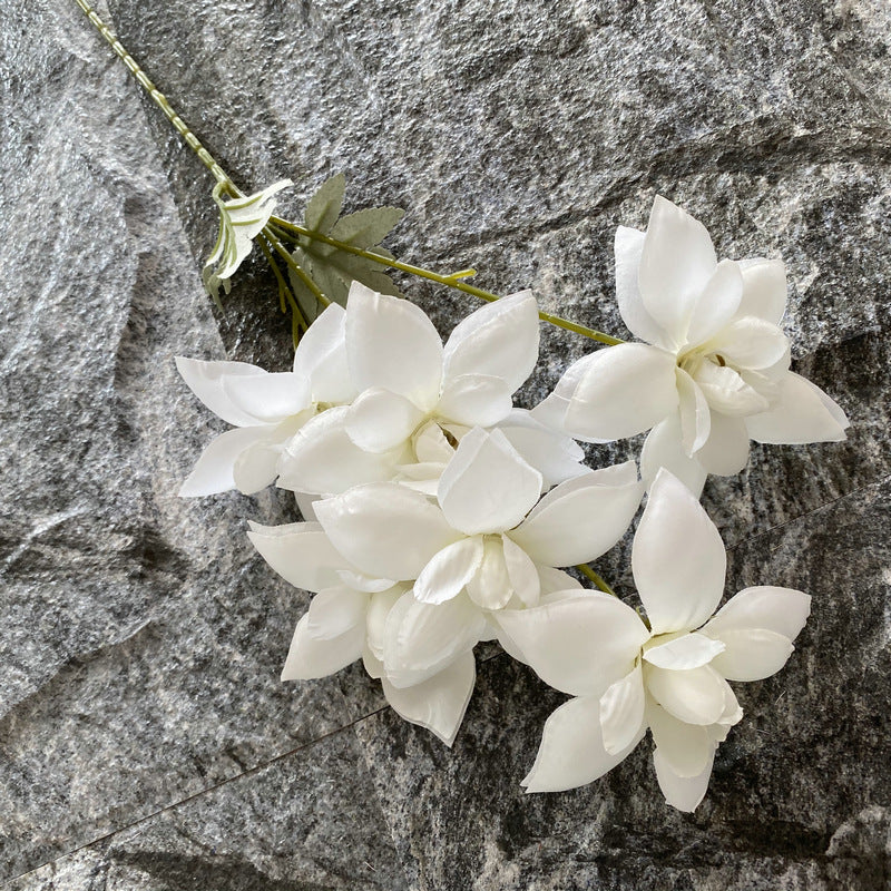 Chinese style spring sunset flowers