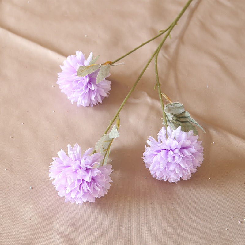 3 heads chrysanthemum table tennis chrysanthemum