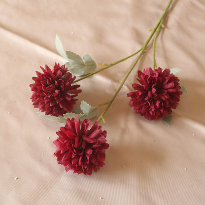 3 heads chrysanthemum table tennis chrysanthemum