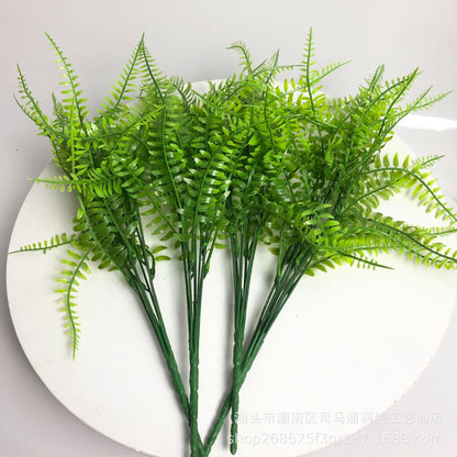 Persian grass Fern