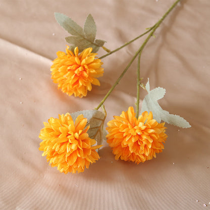 3 heads chrysanthemum table tennis chrysanthemum