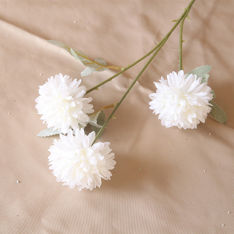 3 heads chrysanthemum table tennis chrysanthemum