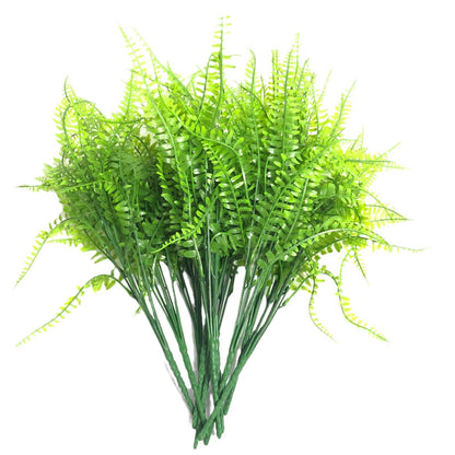 Persian grass Fern