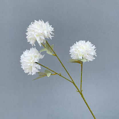 3 heads  pingpong chrysanthemum