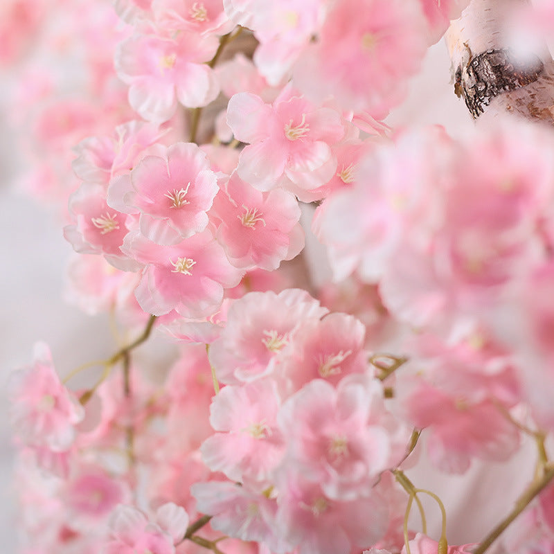 Sakura rattan