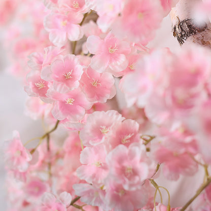 Sakura rattan