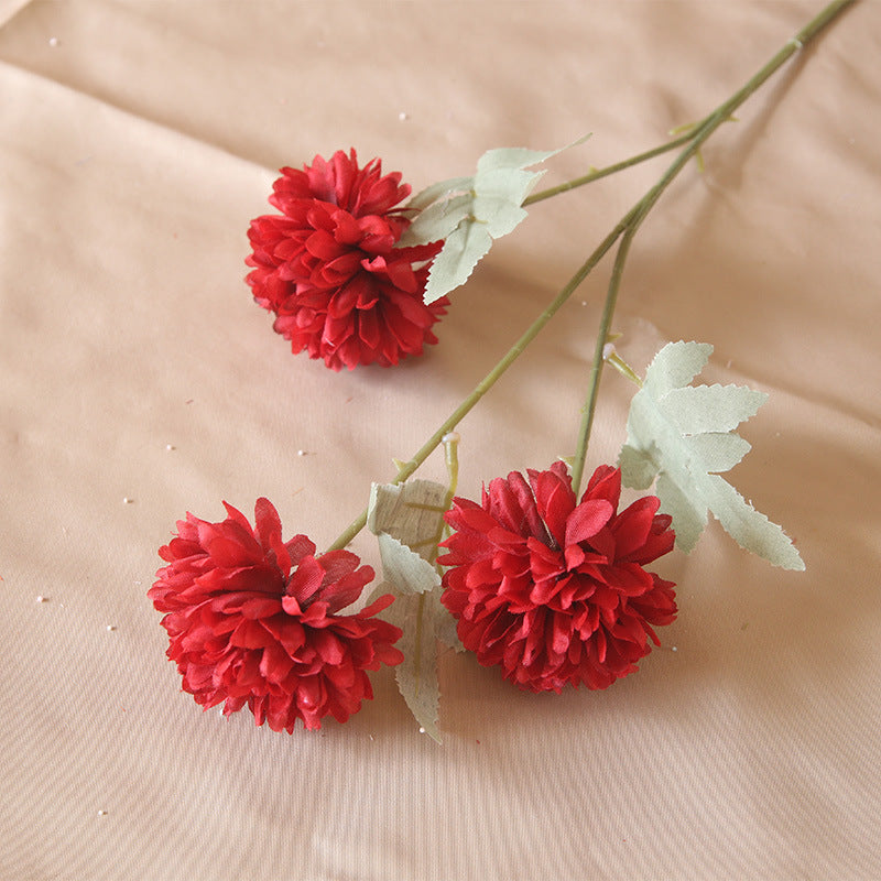 3 heads chrysanthemum table tennis chrysanthemum