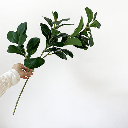 Watercress leaves